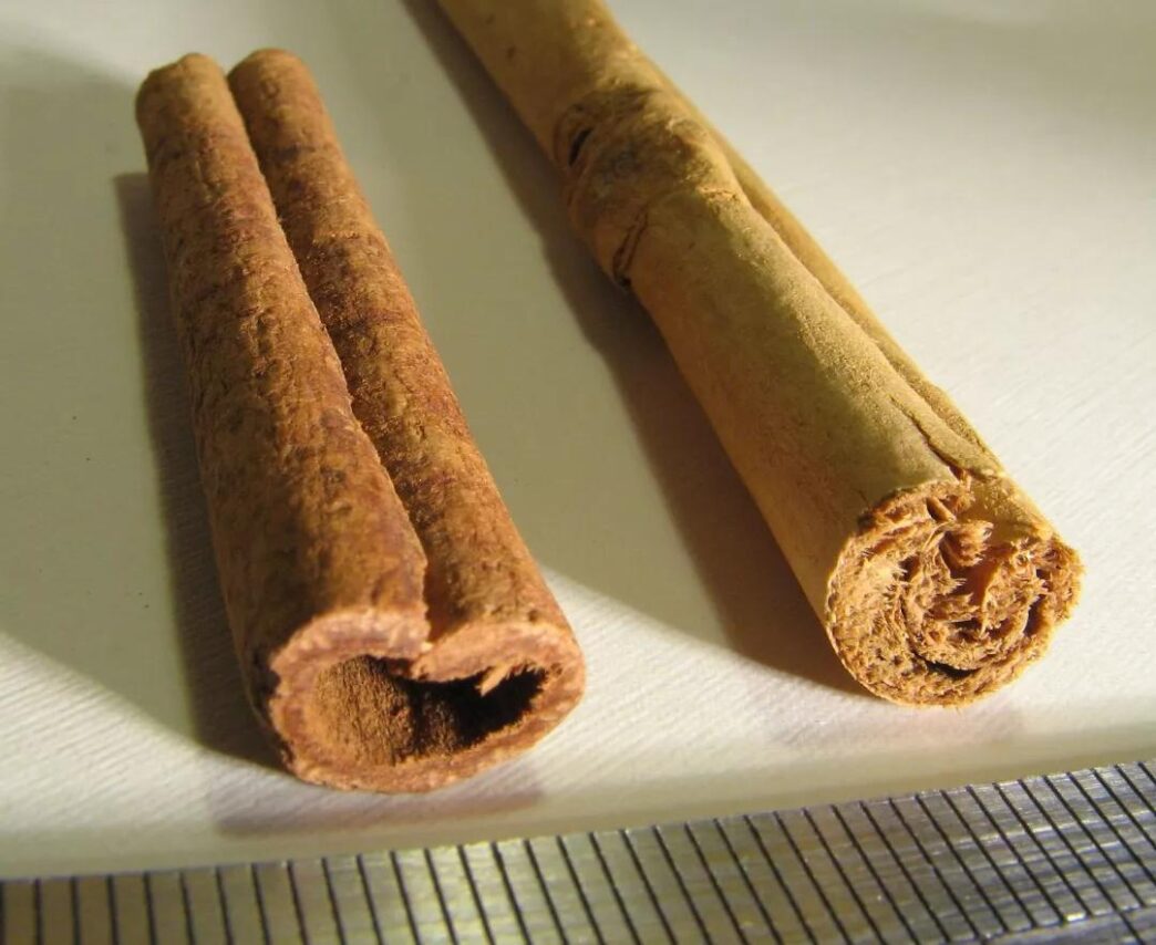 桂皮 vs 肉桂:关键差异与最佳用途 - 9pt.com